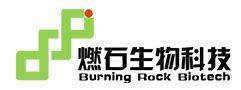 Burning Rock